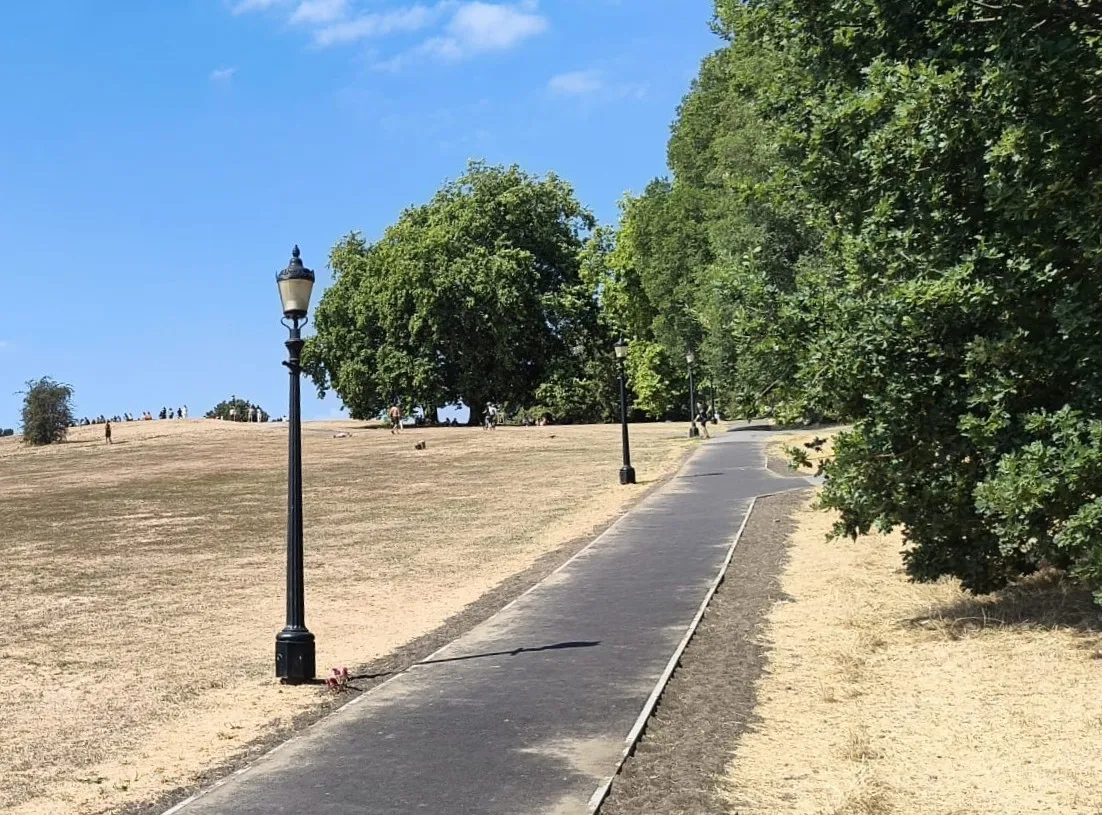 Primrose Hill surrounded by scorched grass