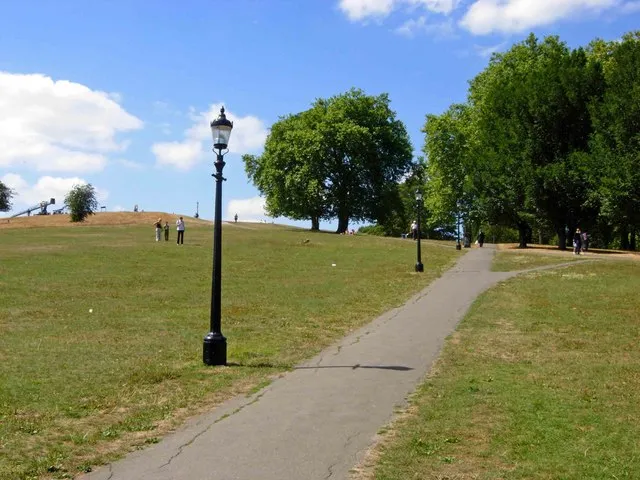 Primrose Hill surrounded by green grass