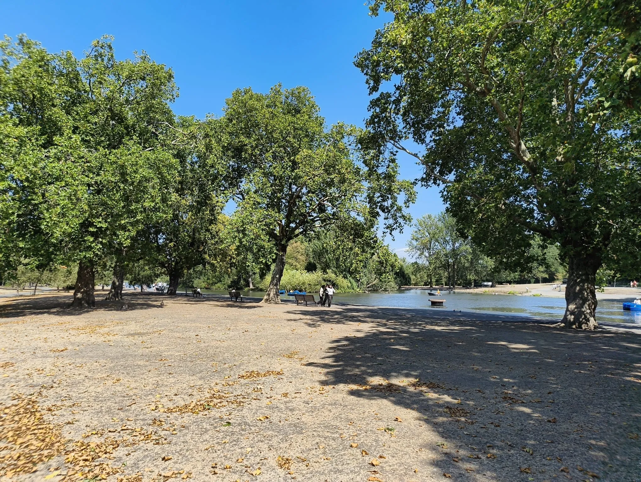 Regent's Park surrounded by scorched grass