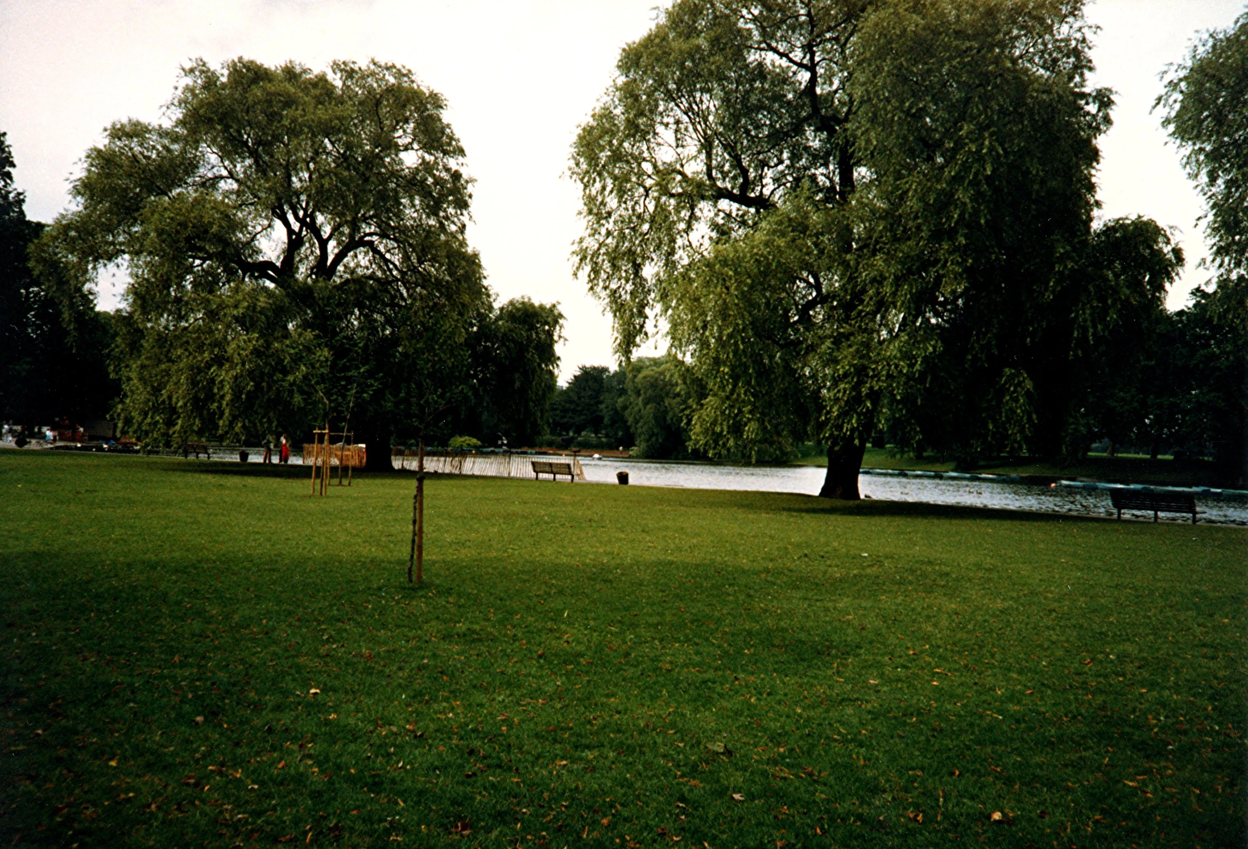 Regent's Park surrounded by green grass