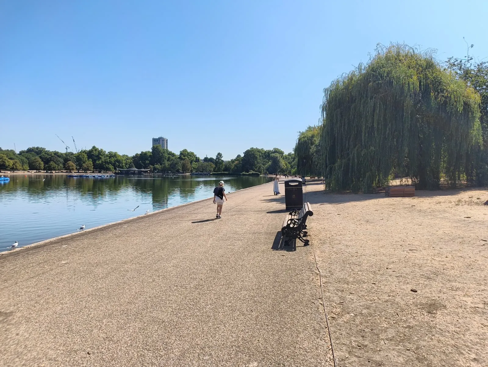 The Serpentine surrounded by scorched grass